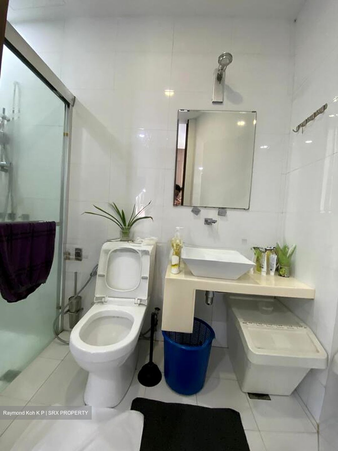 Toh Estate (D17), Semi-Detached #498484051